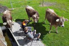 IMG-20180826-WA0031
