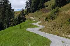IMG-20180826-WA0037