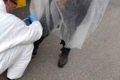 IMG-20200226-WA0005